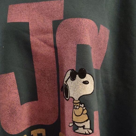 Peanuts Joe Cool Women's XL Loose Fit Crop Top Fleece lined Teal Pink Sweatshirt - Picture 2 of 9